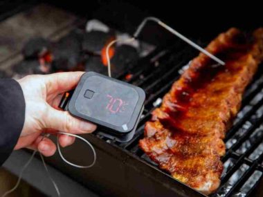 Best-Smoker Thermometers