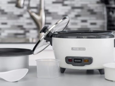 Best Small Rice Cookers Reviews