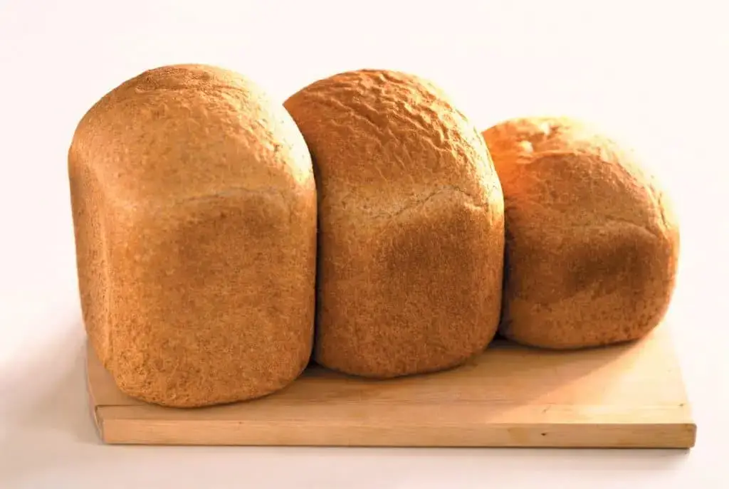 Best Zojirushi Bread Makers loaf capacity