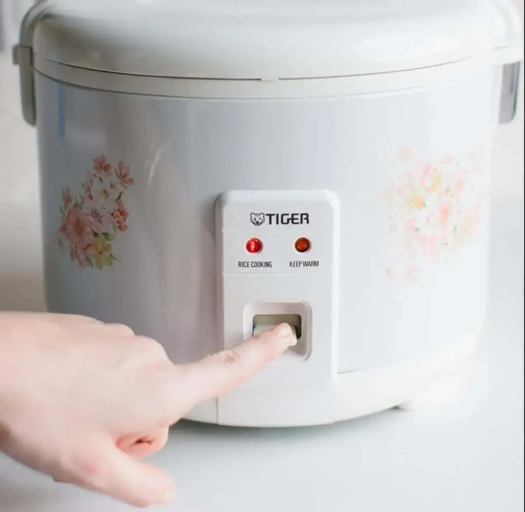 Best Sushi Rice Cooker Guide 2