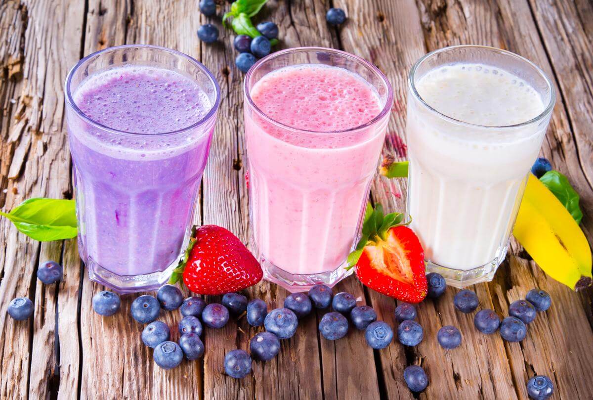 Best Blenders for Protein Shakes Review