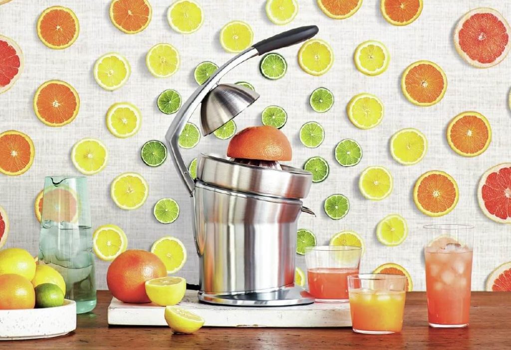 Top 9 Best Citrus Juicers 2024 Reviews