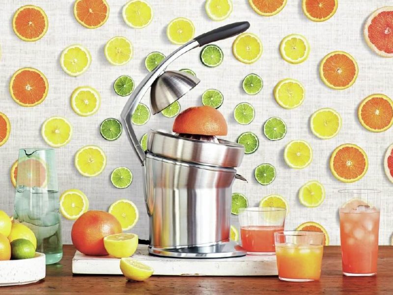 Top 9 Best Citrus Juicers 2024 Reviews