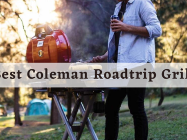 Best Coleman Roadtrip Grills