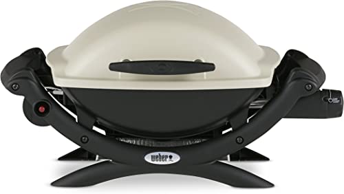 Weber 50060001 Q1000 Liquid Propane Grill – Best Value RV Grill for the Money