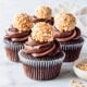 Chocolate Peanut Butter Cupcakes Recipe